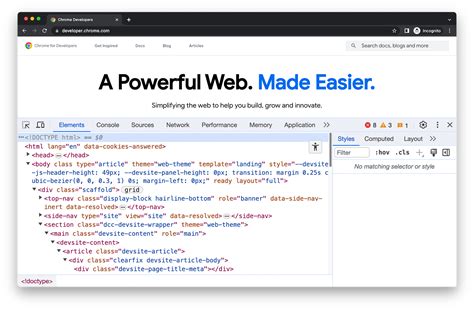 Developer tools (model.